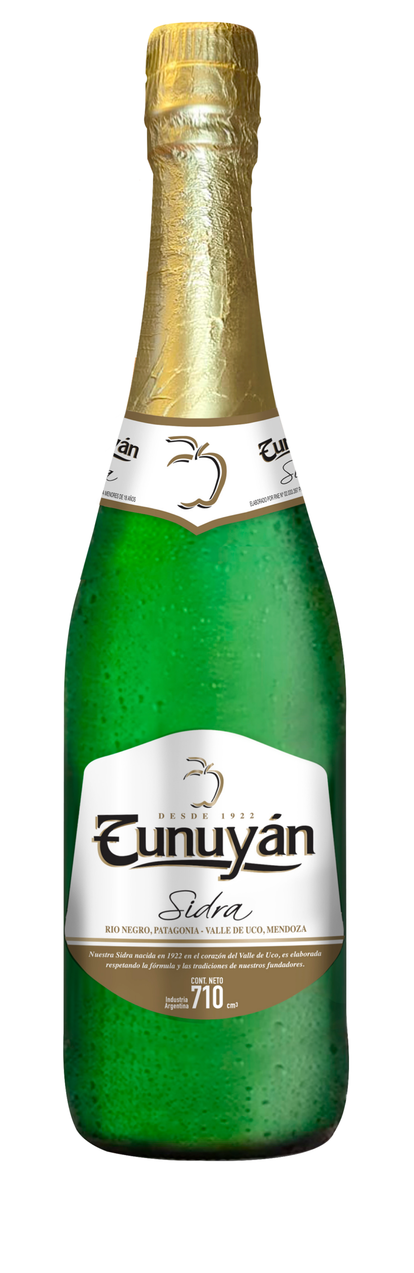 Tunuyán
